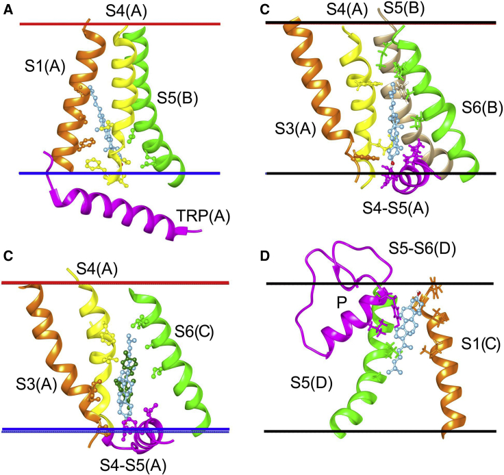 Figure 7