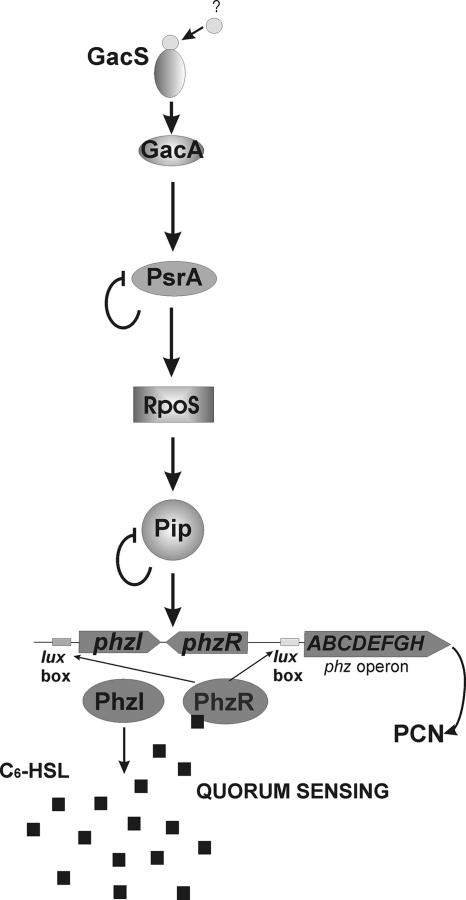 FIG. 7.