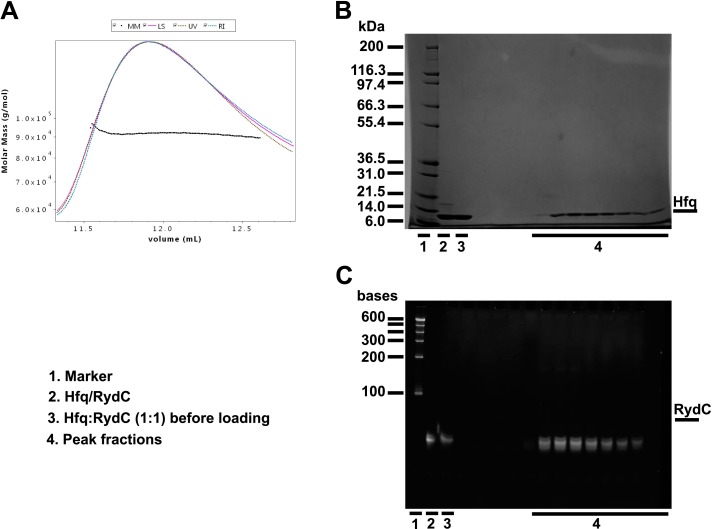 Figure 2—figure supplement 3.