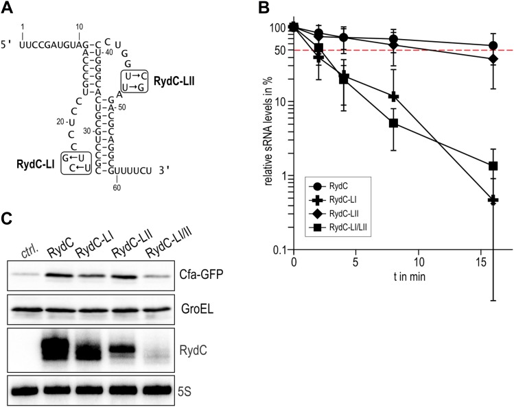 Figure 5.