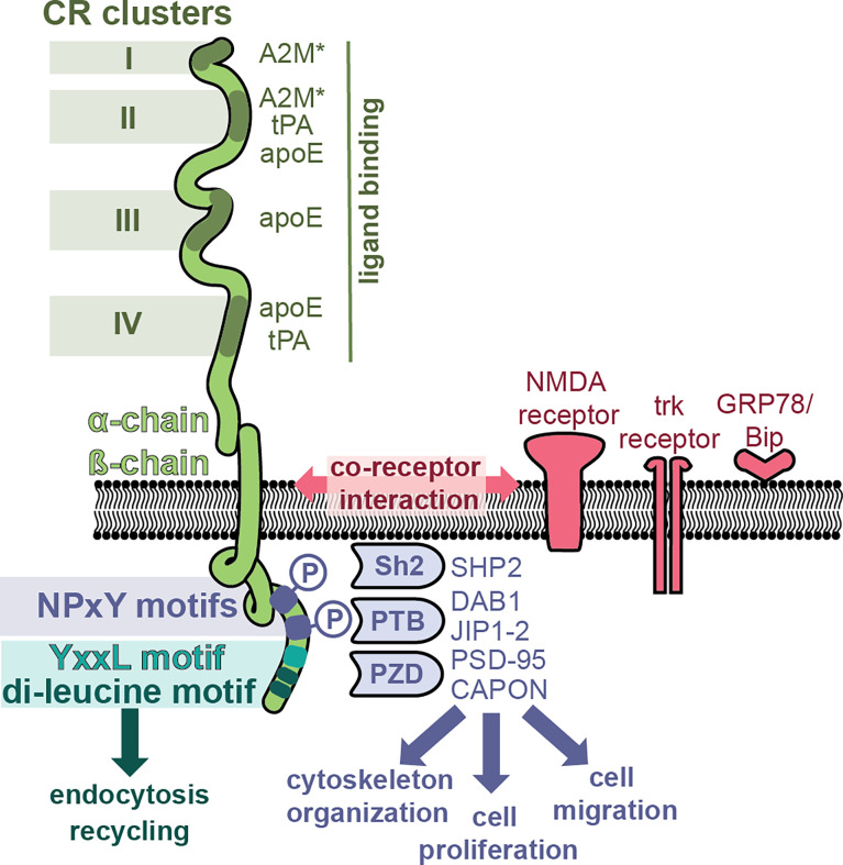 Figure 3