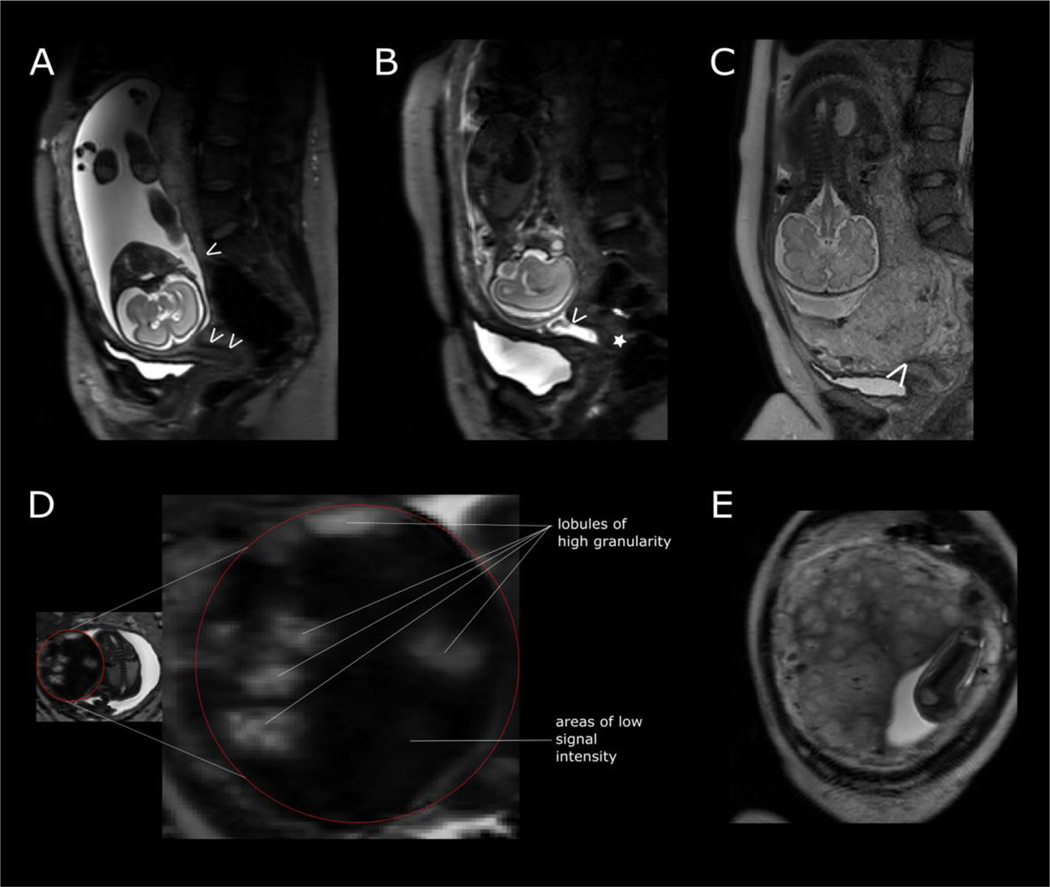 Figure 5: