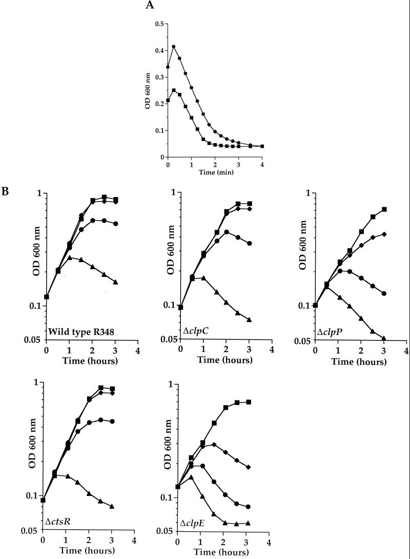 FIG. 8