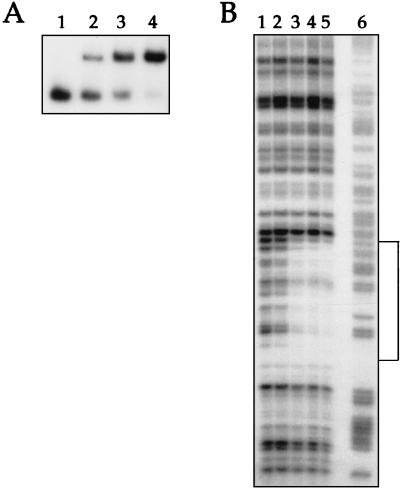 FIG. 6