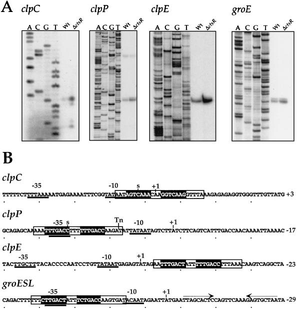 FIG. 7