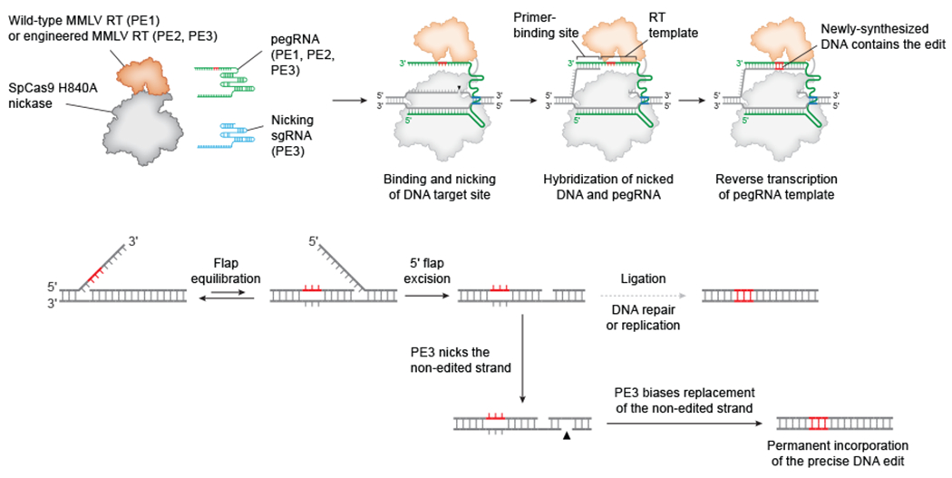 Figure 2 |