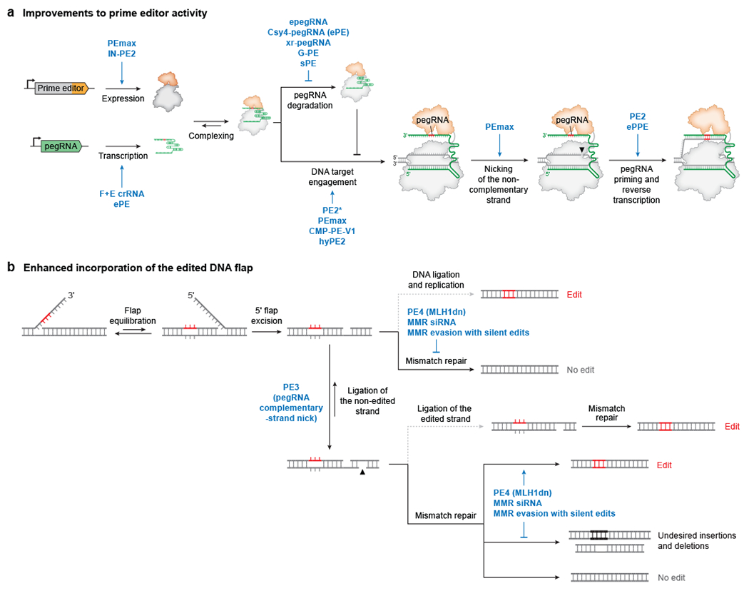 Figure 3 |