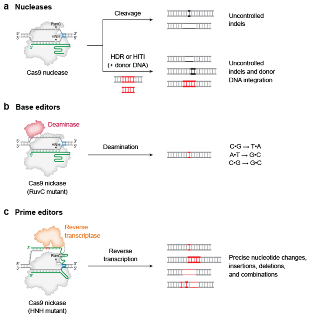 Figure 1 |