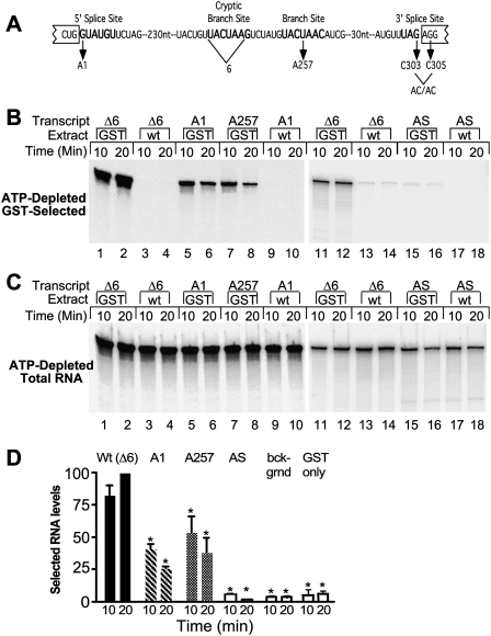 FIGURE 4.