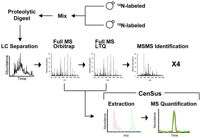 Fig.1