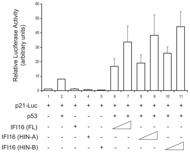 Figure 7