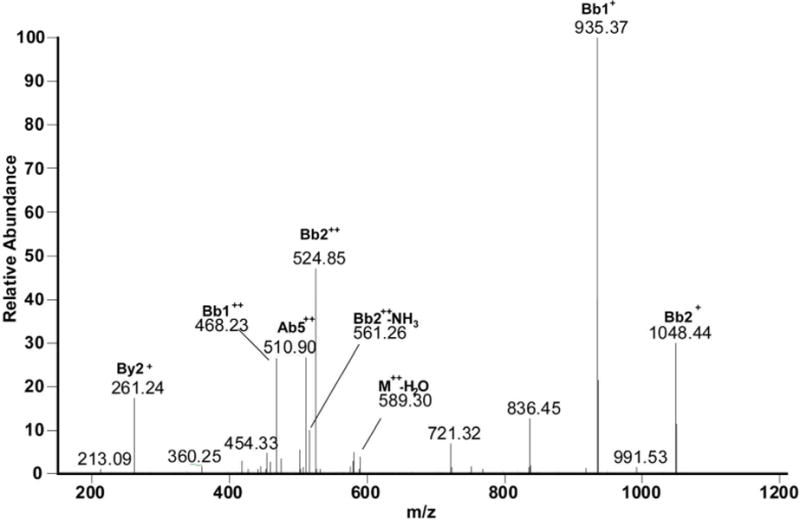 Figure 6C