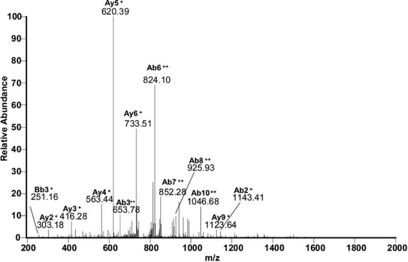 Figure 6B