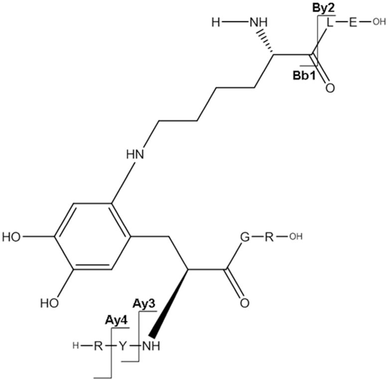 Figure 6D