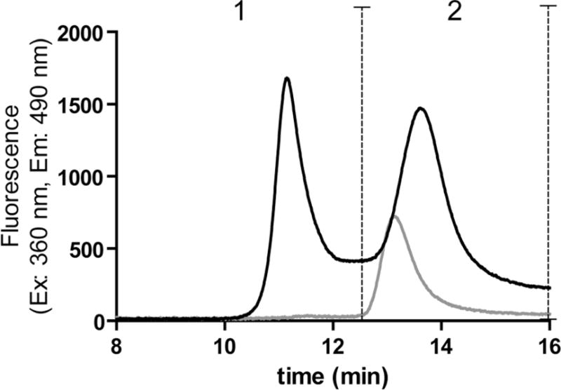 Figure 1B