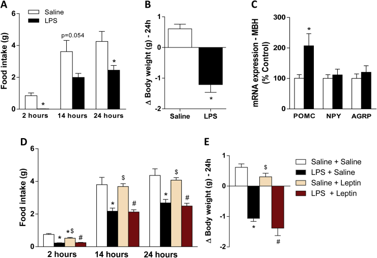 Figure 1