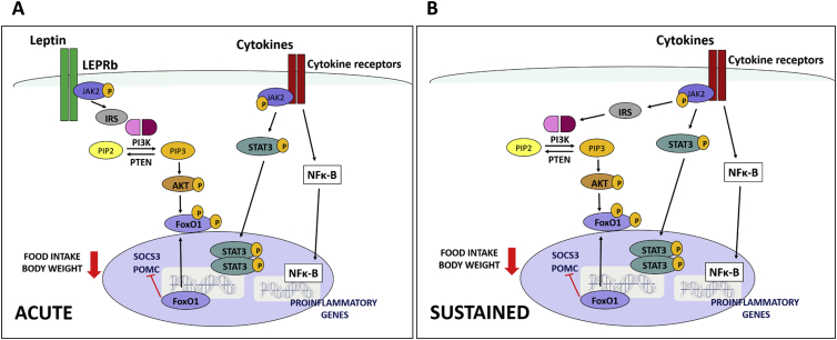 Figure 10