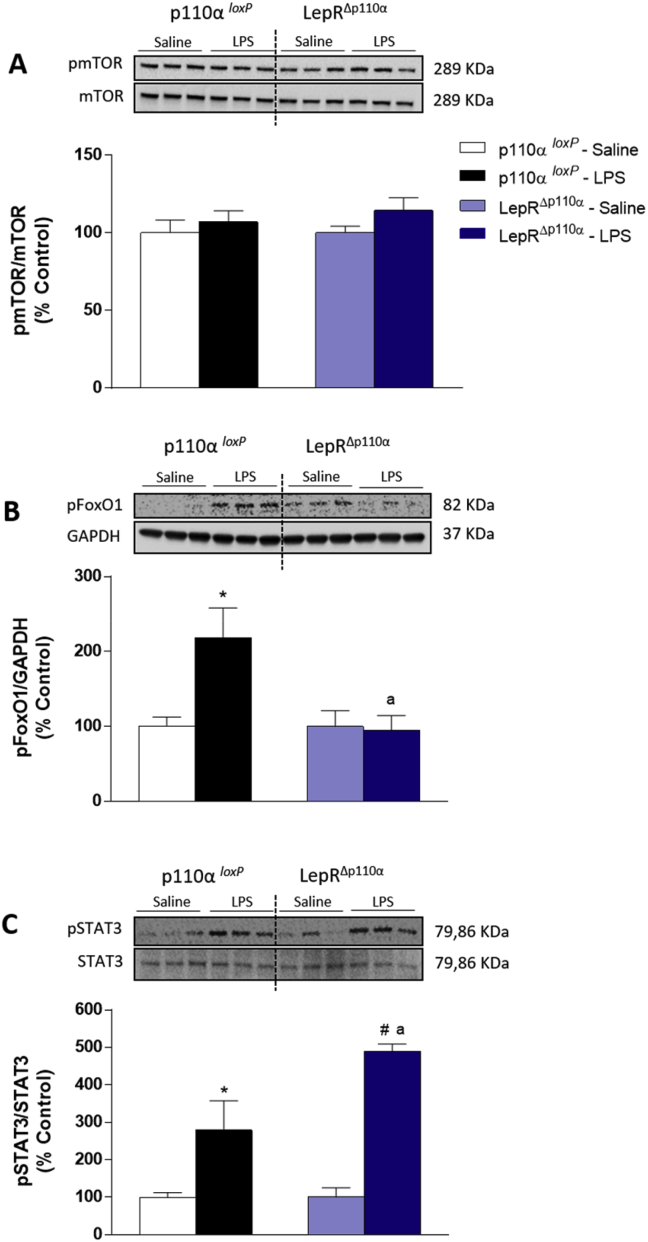 Figure 5