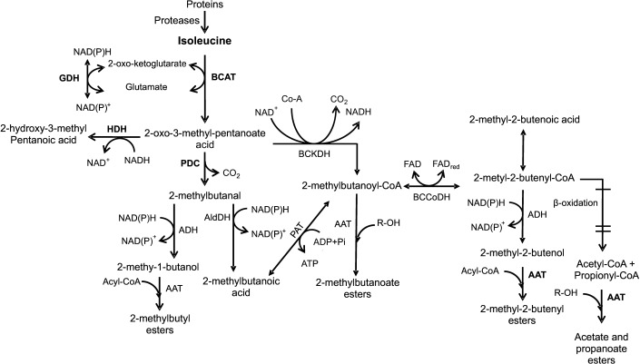 Fig. 3