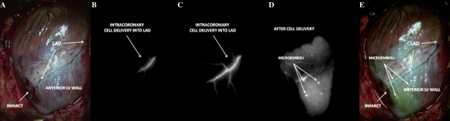 Figure 7