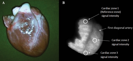 Figure 2