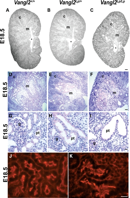 Figure 3.