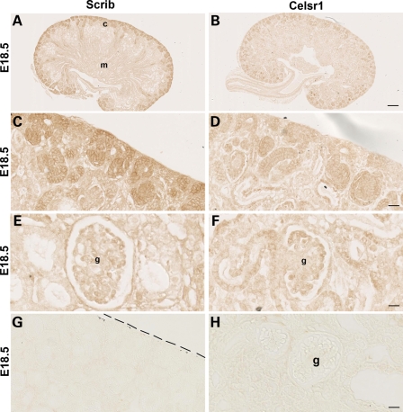 Figure 4.