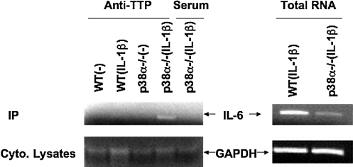 FIG. 5.