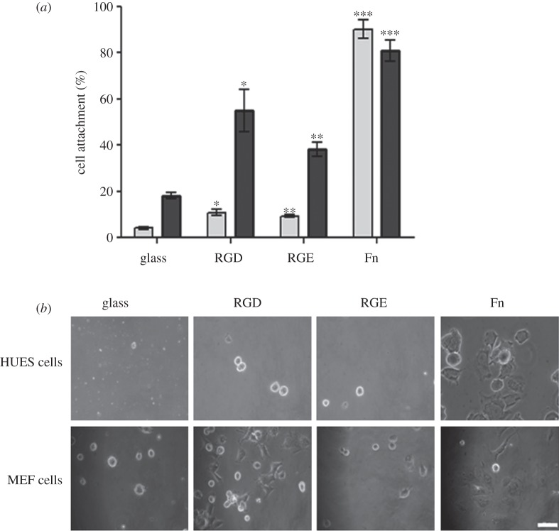 Figure 11.