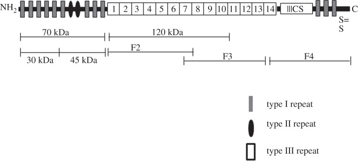 Figure 1.