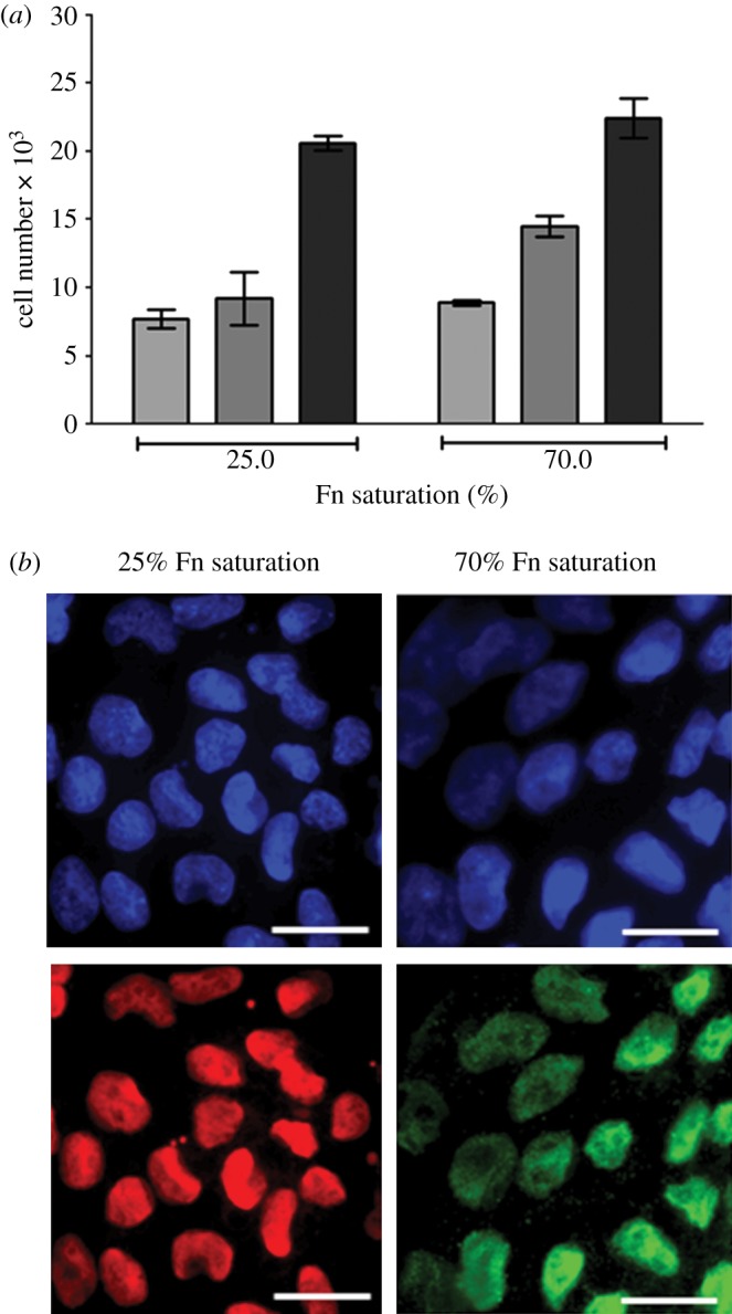 Figure 3.