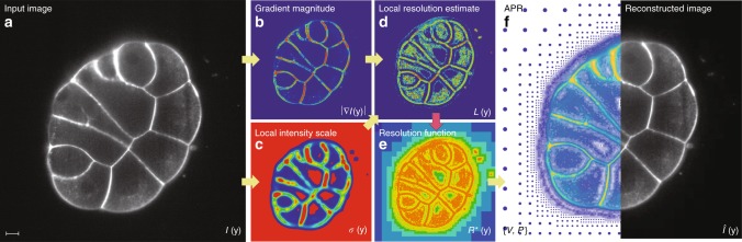 Fig. 6