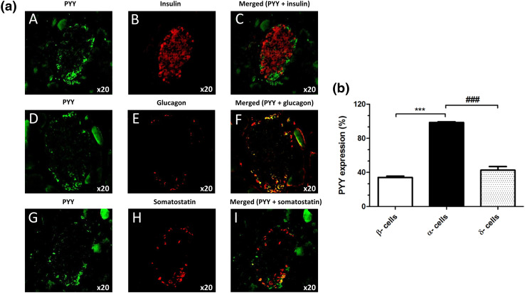 Fig. 6