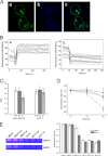 FIGURE 4.