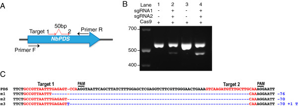 Figure 4