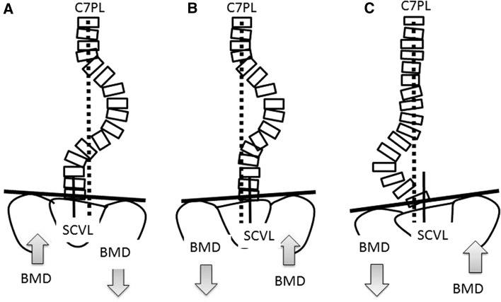 Fig. 1