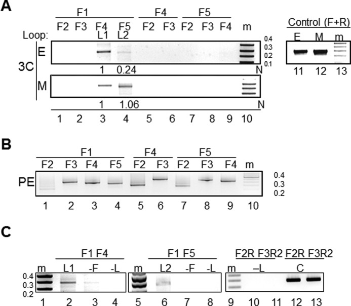 FIGURE 2.