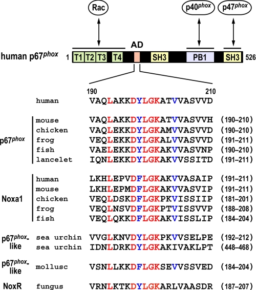 FIGURE 1.