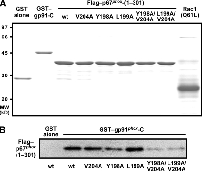 FIGURE 6.