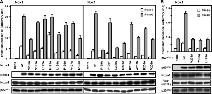 FIGURE 7.