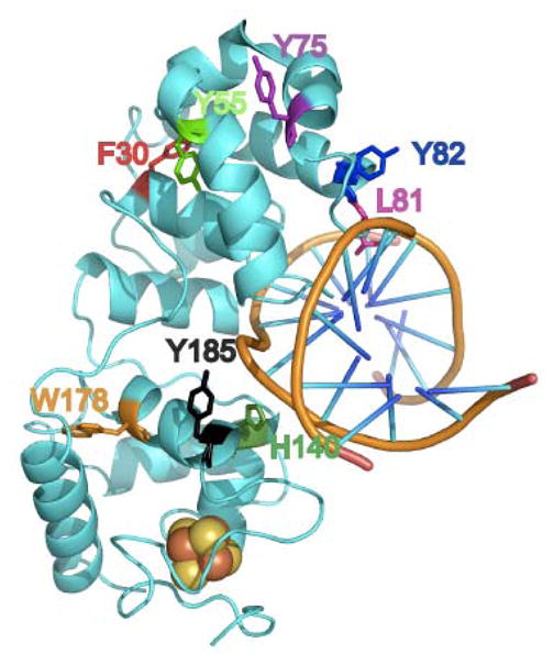 Figure 6