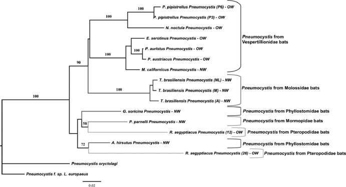 Fig 3