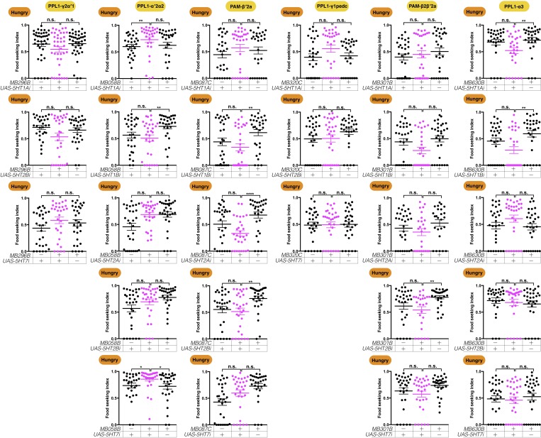 Figure 10—figure supplement 2.