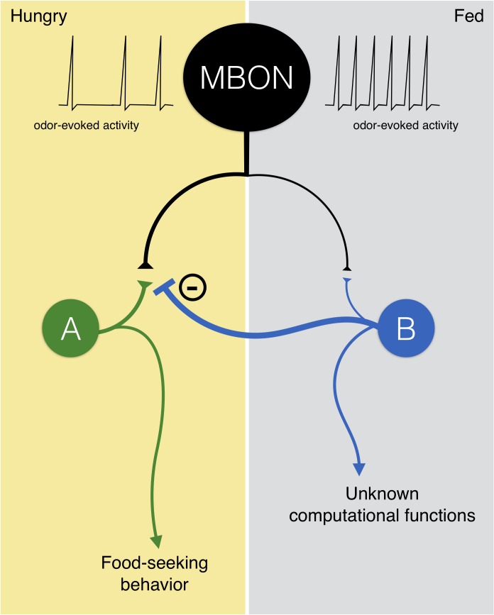 Figure 12—figure supplement 1.