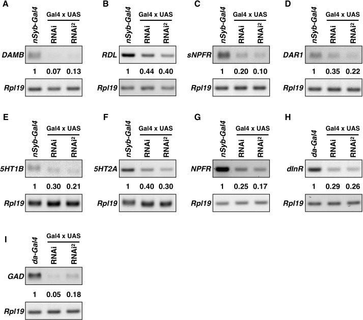 Figure 6—figure supplement 3.