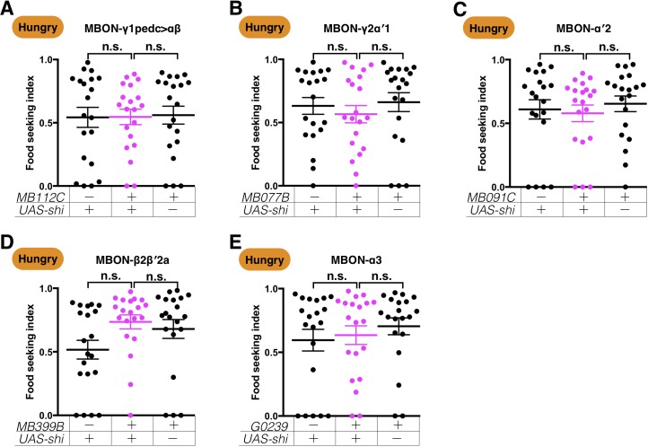 Figure 3—figure supplement 3.