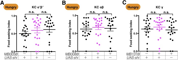 Figure 2—figure supplement 1.