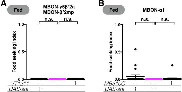 Figure 6—figure supplement 2.