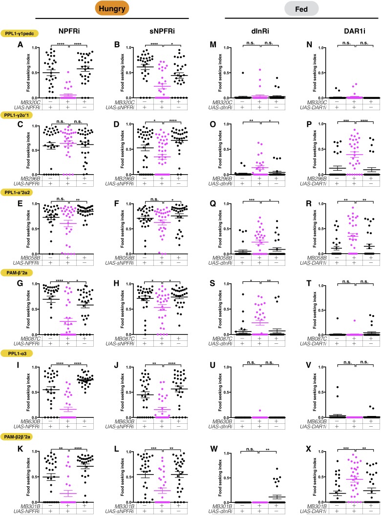 Figure 11.