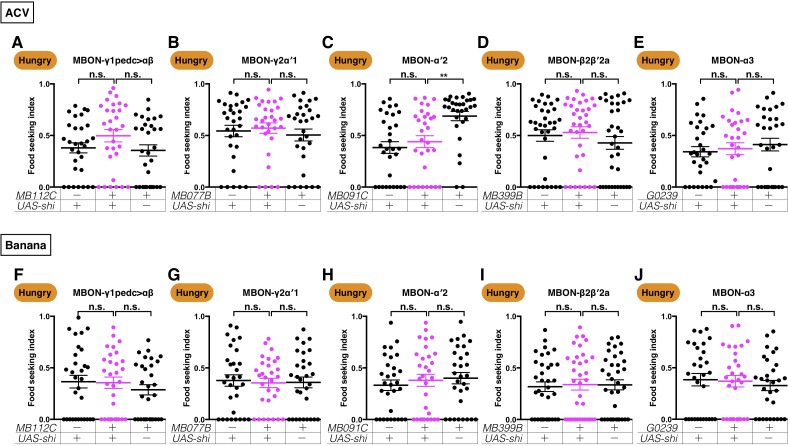 Figure 4—figure supplement 1.